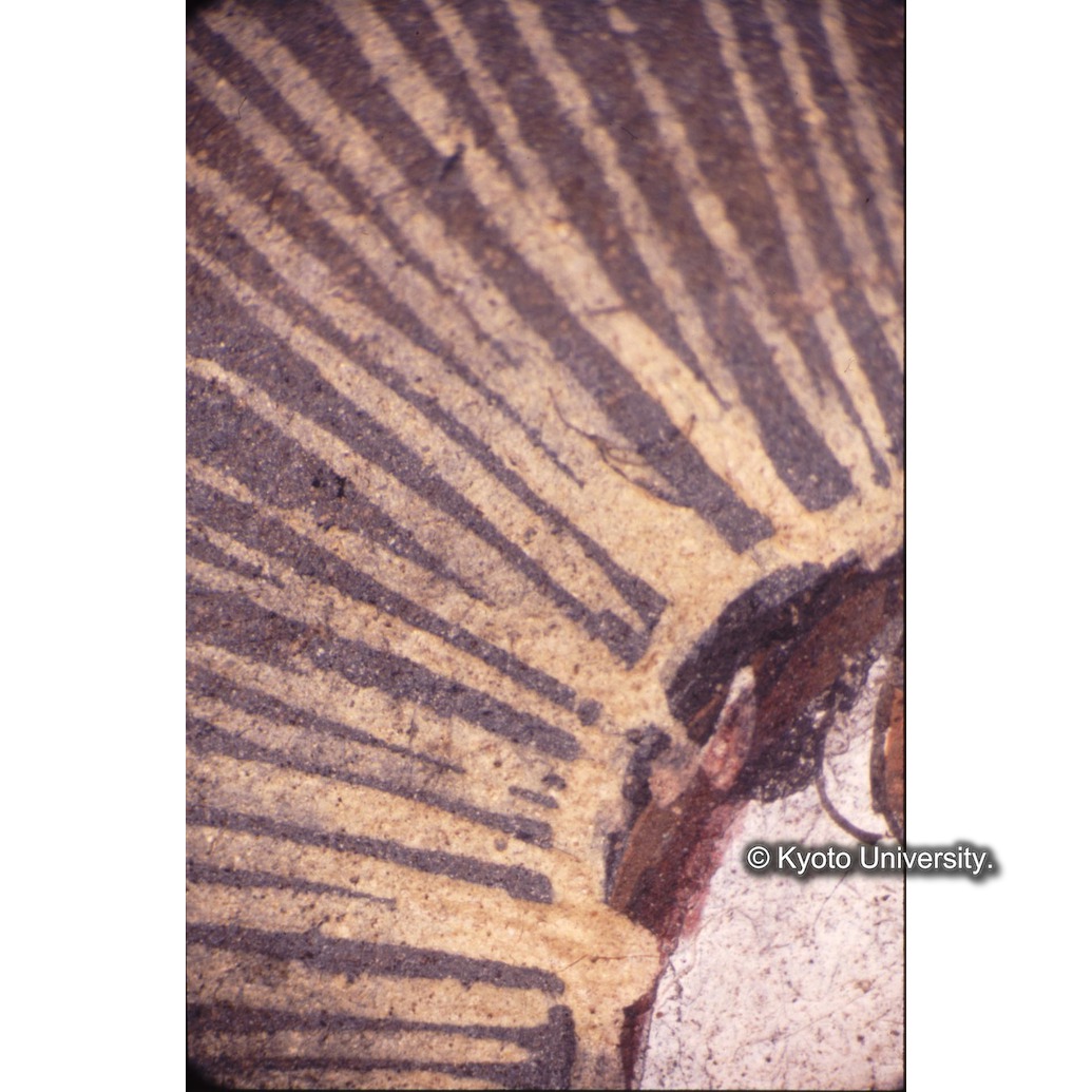 顕微鏡撮影カラー写真（十五玄義第五図：キリスト頭の後光） (1)