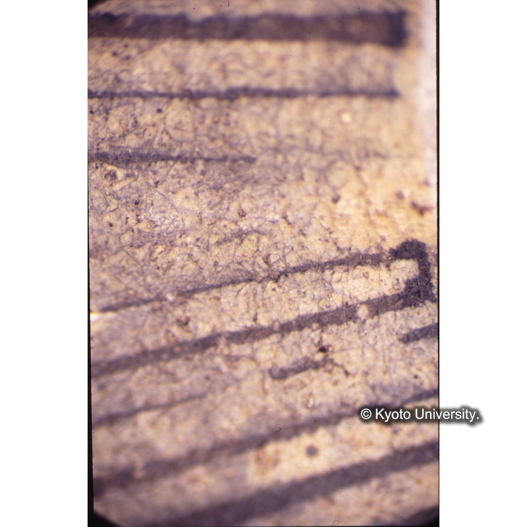 顕微鏡撮影カラー写真（十五玄義第五図：キリスト頭の後光） (1)