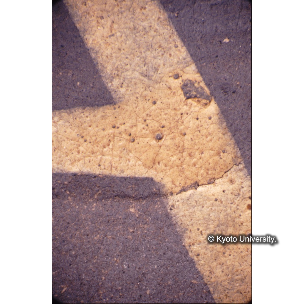 顕微鏡撮影カラー写真（中央上段：中央文字） (1)