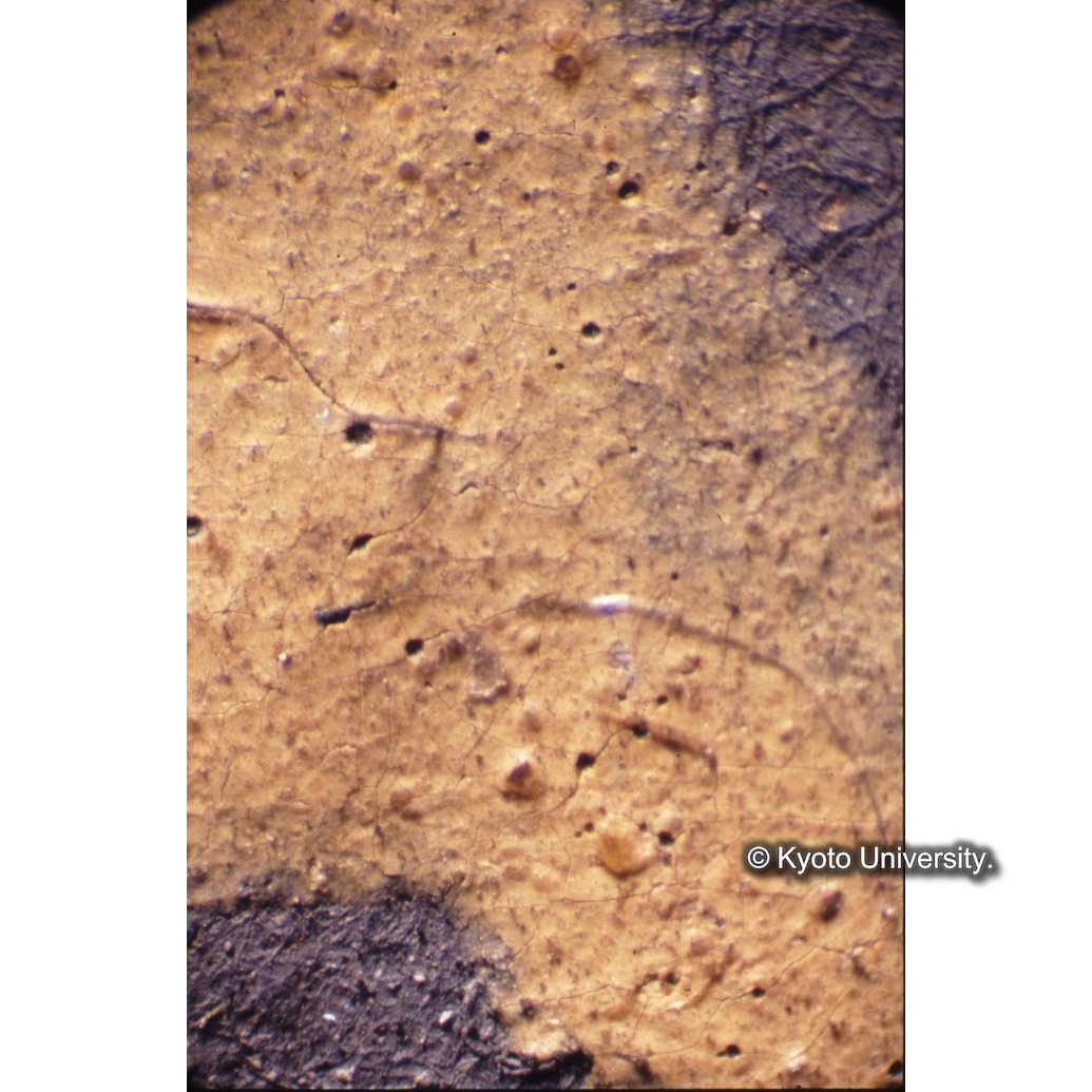 顕微鏡撮影カラー写真（中央下段：イエズス会の紋章） (1)