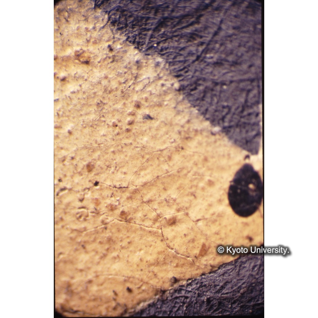 顕微鏡撮影カラー写真（中央下段：イエズス会の紋章） (1)