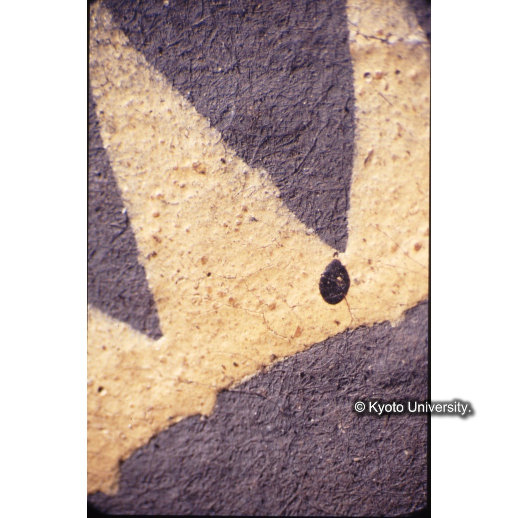 顕微鏡撮影カラー写真（中央下段：イエズス会の紋章） (1)