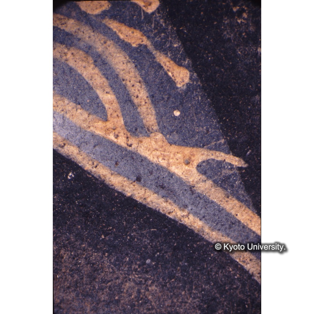 顕微鏡撮影カラー写真（中央上段：マリア衣服） (1)