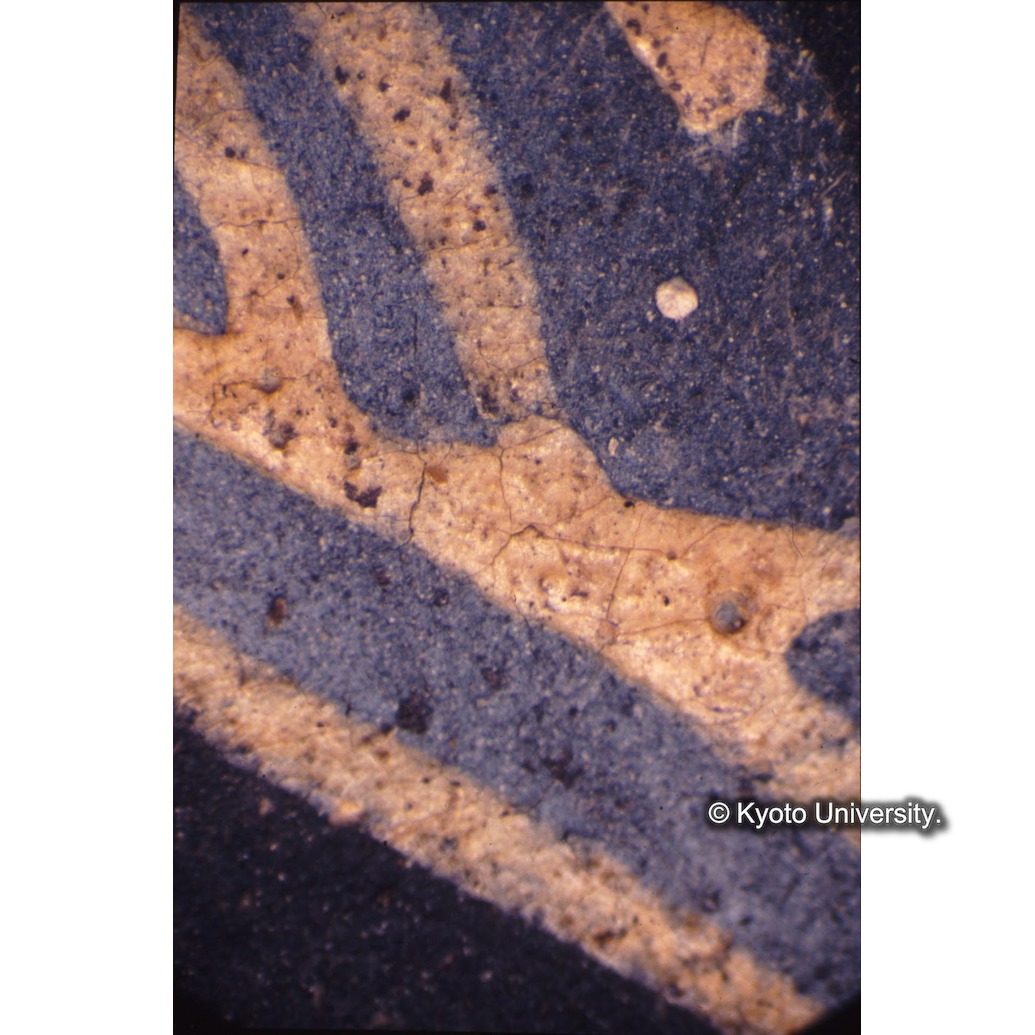 顕微鏡撮影カラー写真（中央上段：マリア衣服） (1)