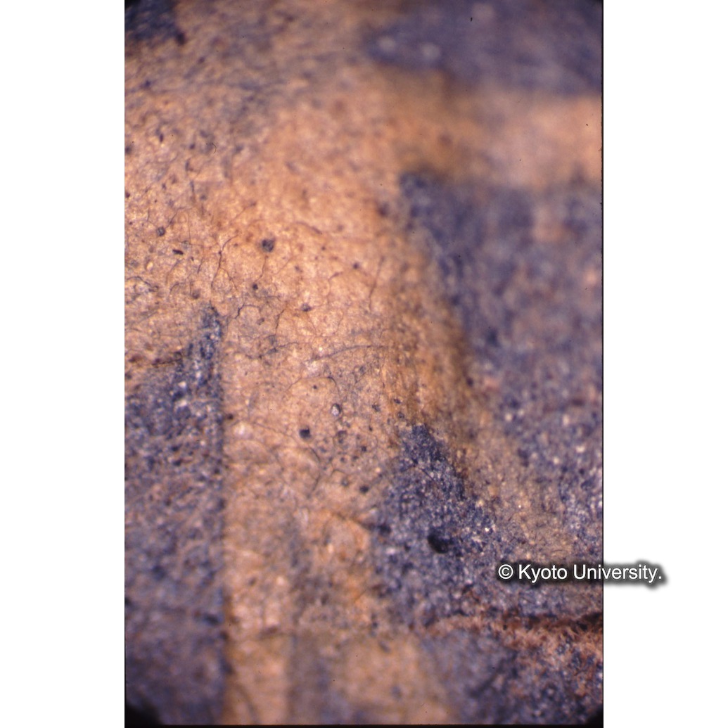 顕微鏡撮影カラー写真（十五玄義第三図：星） (1)