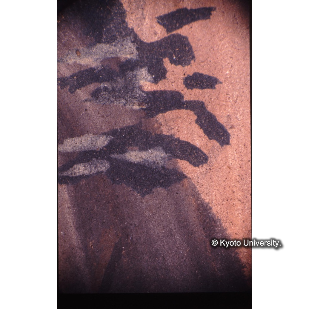 顕微鏡撮影カラー写真（十五玄義第三図：緑の葉） (1)