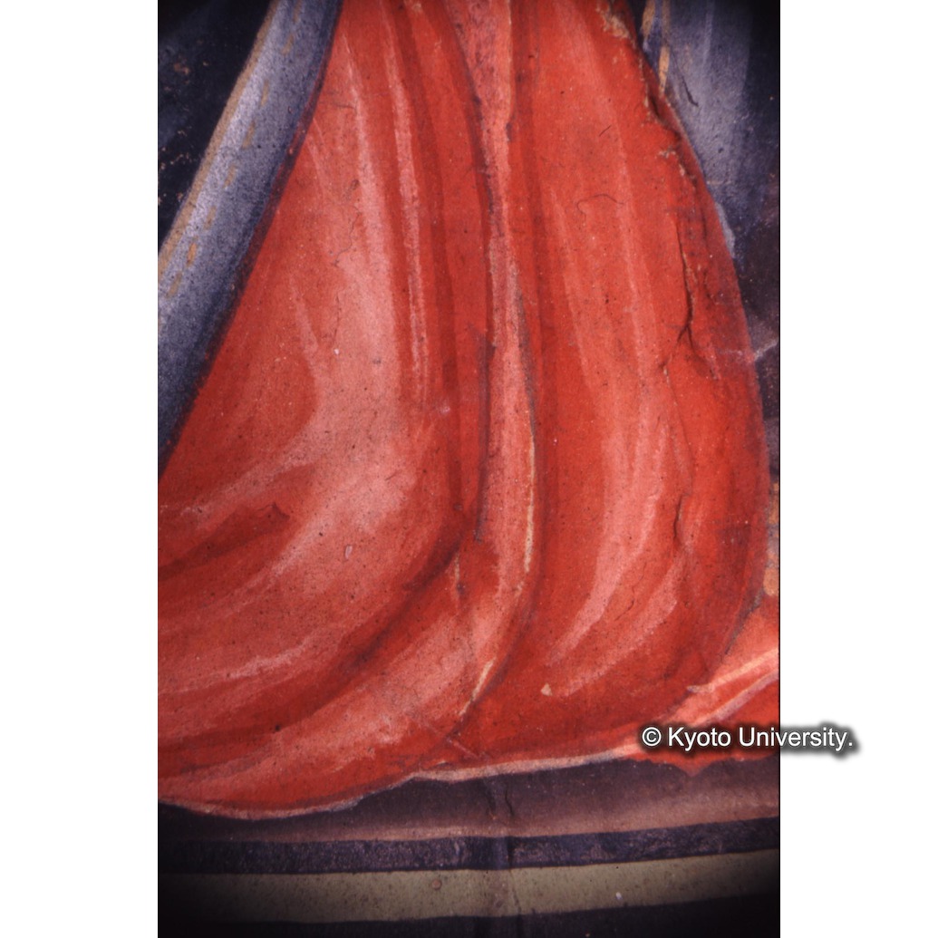 顕微鏡撮影カラー写真（十五玄義第三図：マリア衣服） (1)