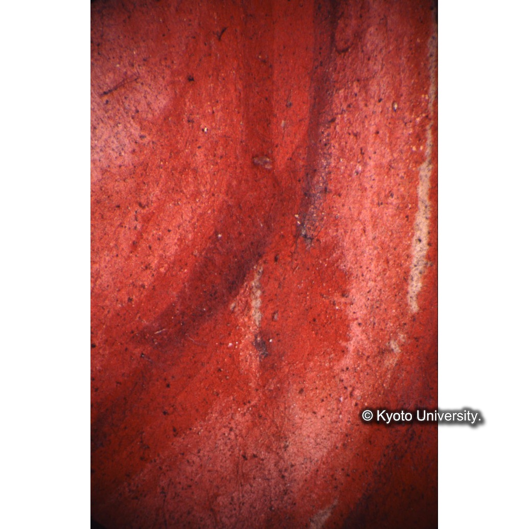 顕微鏡撮影カラー写真（十五玄義第三図：マリア衣服） (1)