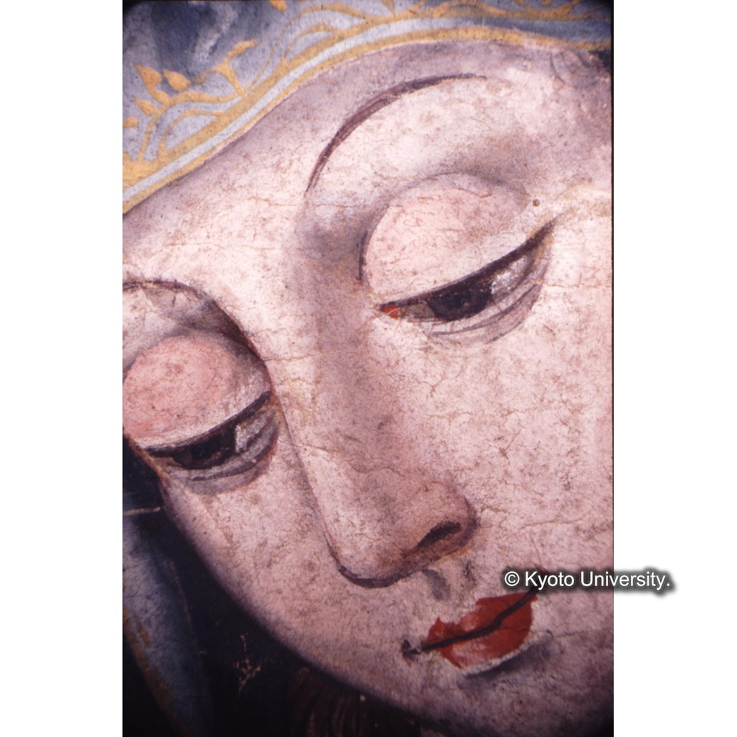 顕微鏡撮影カラー写真（中央上段：マリア） (1)