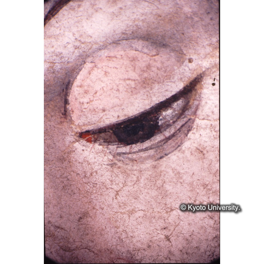 顕微鏡撮影カラー写真（中央上段：マリア目） (1)