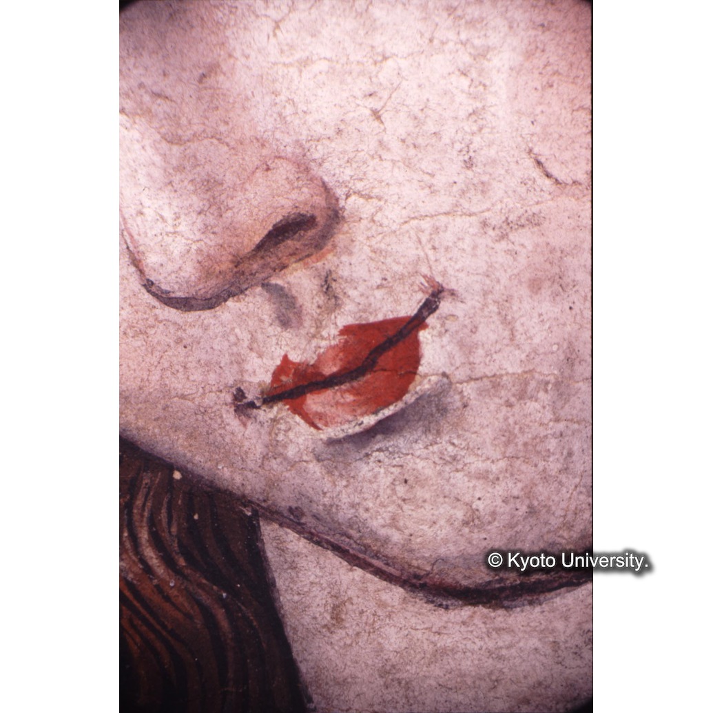 顕微鏡撮影カラー写真（中央上段：マリア口） (1)