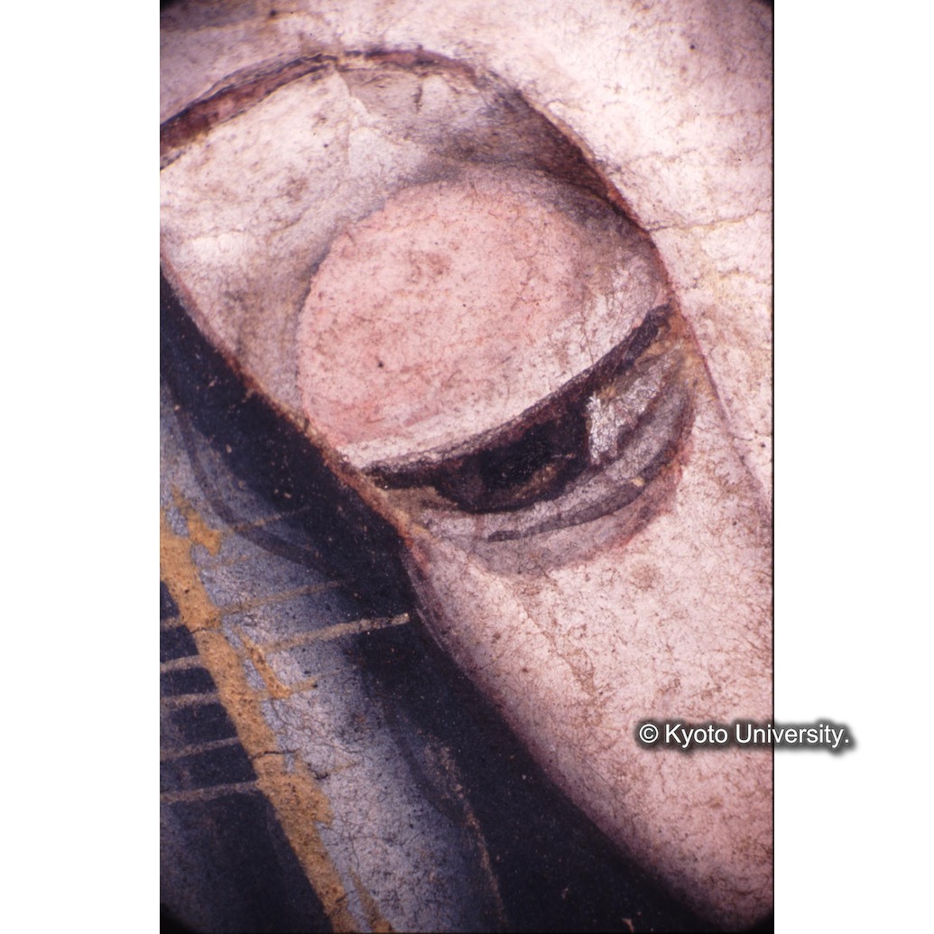 顕微鏡撮影カラー写真（中央上段：マリア目） (1)