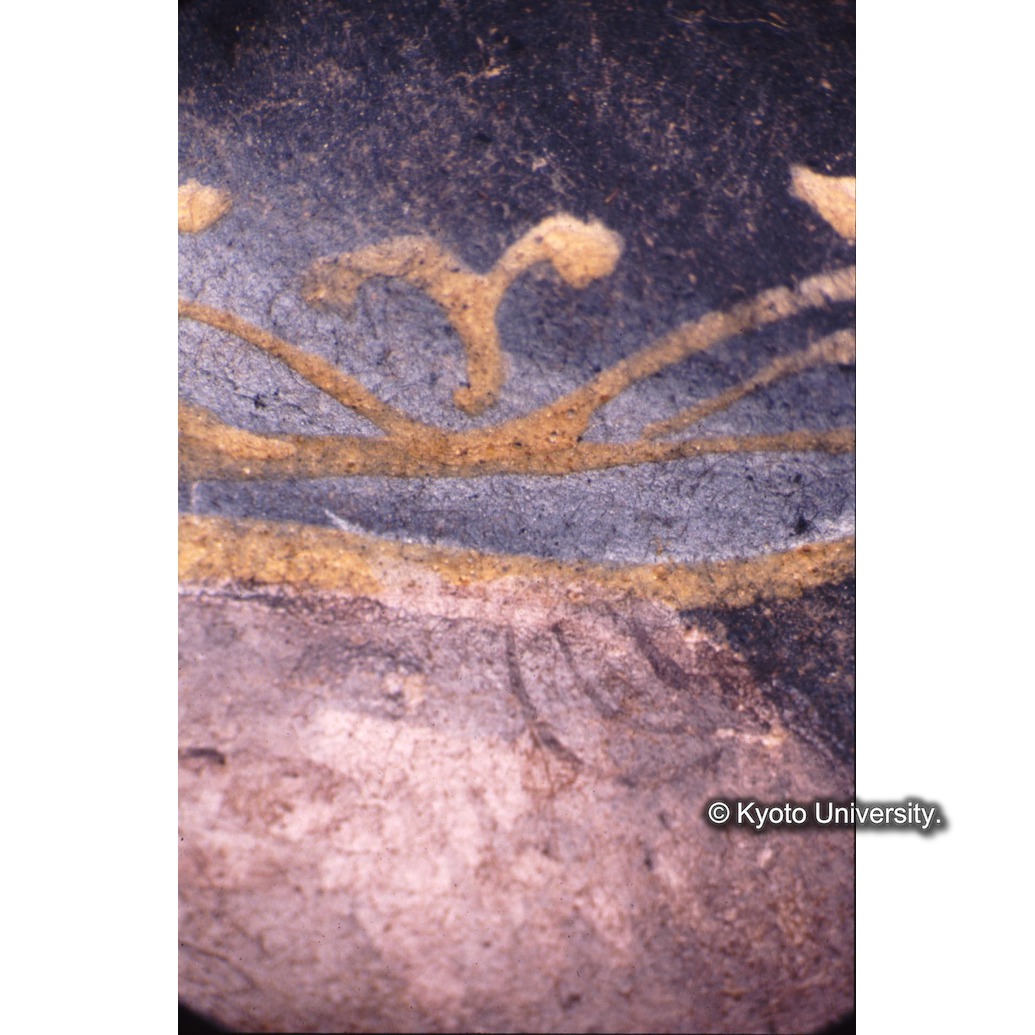 顕微鏡撮影カラー写真（中央上段：マリア衣服） (1)