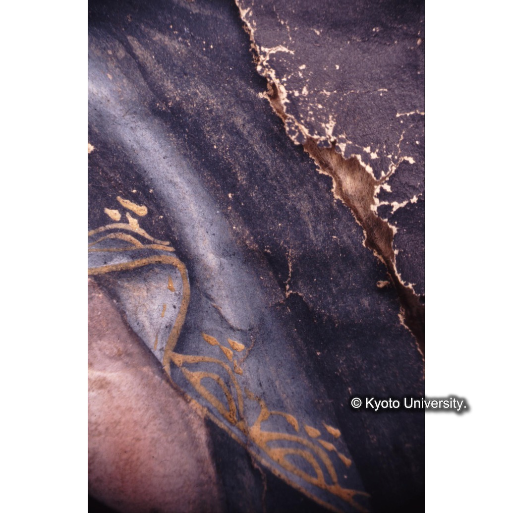 顕微鏡撮影カラー写真（中央上段：マリア衣服破れ） (1)