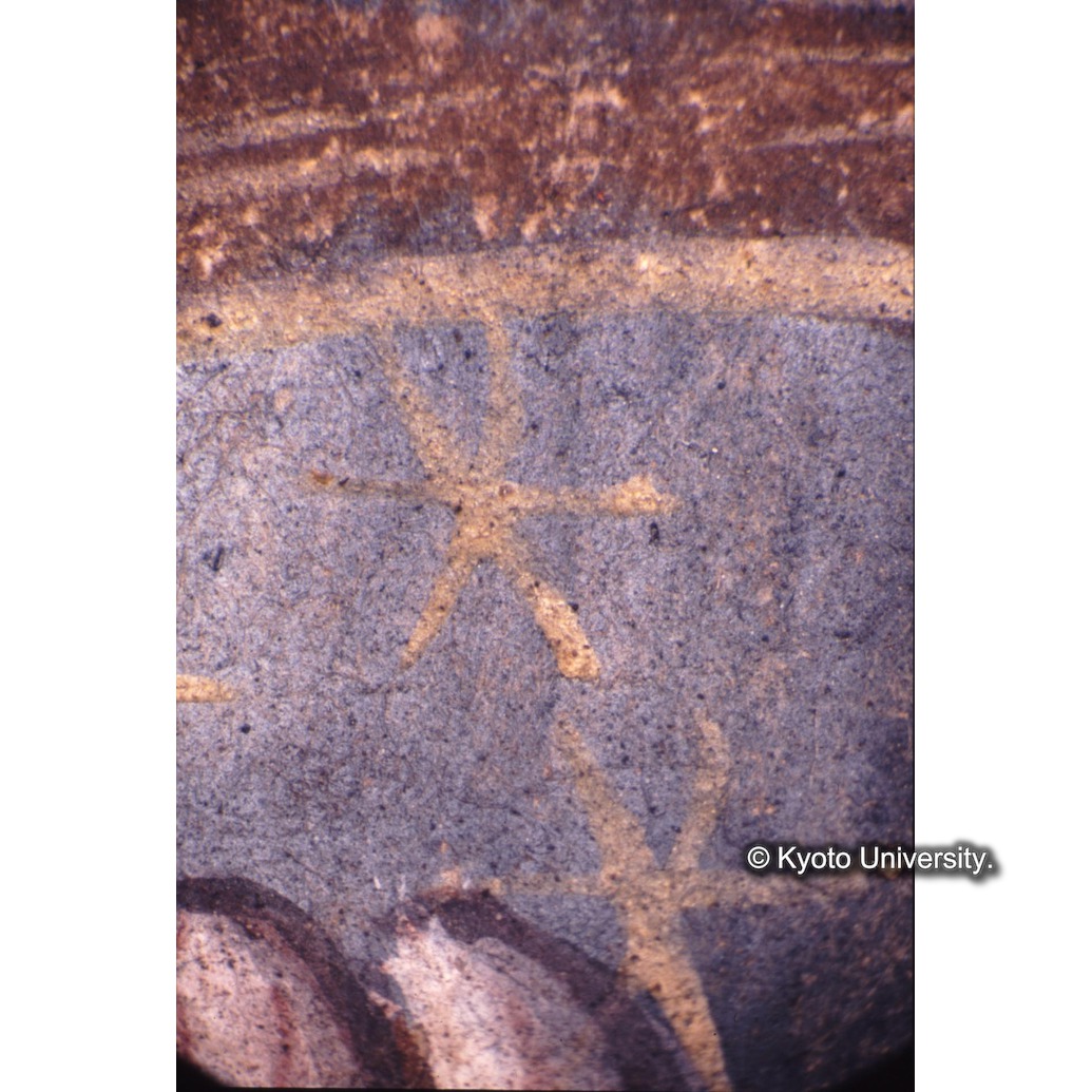 顕微鏡撮影カラー写真（中央上段：球体） (1)