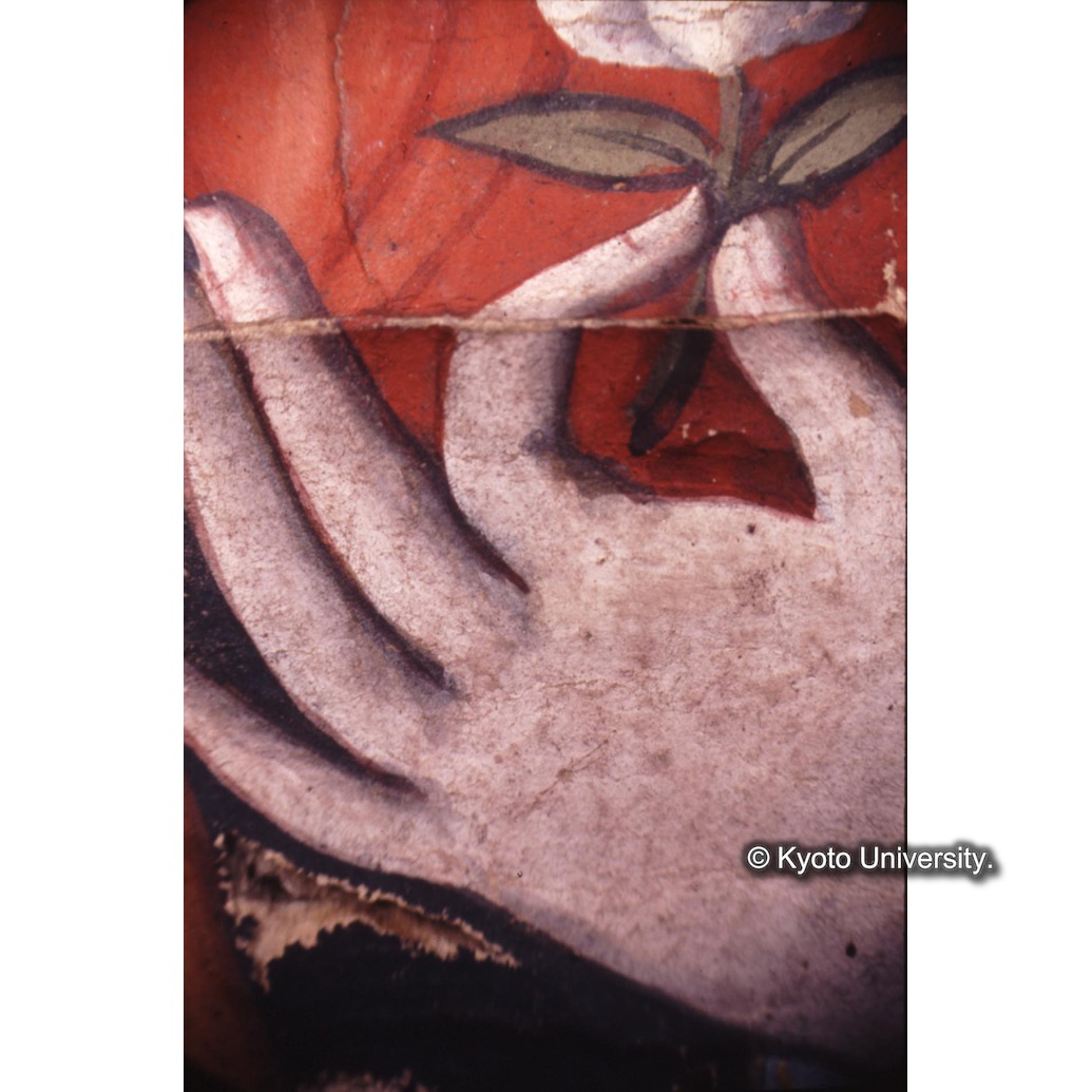 顕微鏡撮影カラー写真（中央上段：マリア手） (1)