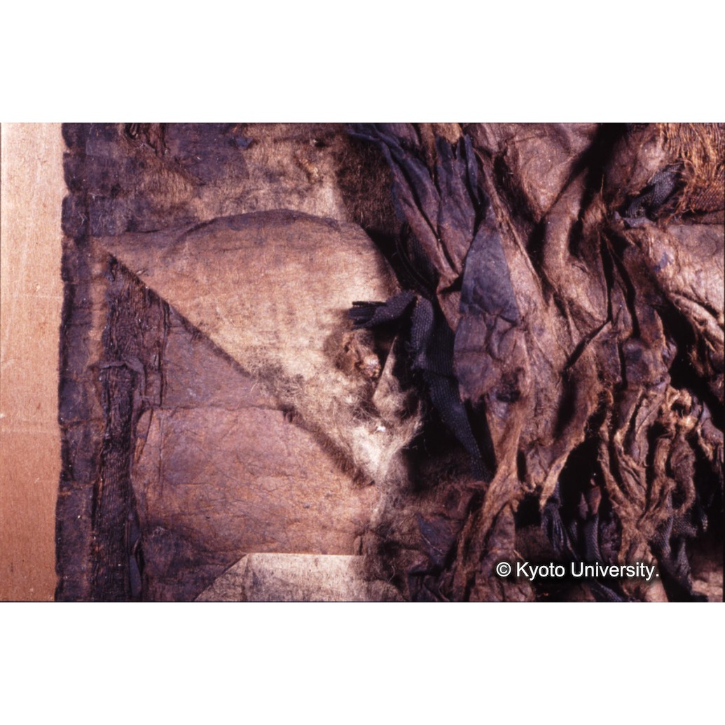 カラー写真（枠付裏面：めくれ） (1)