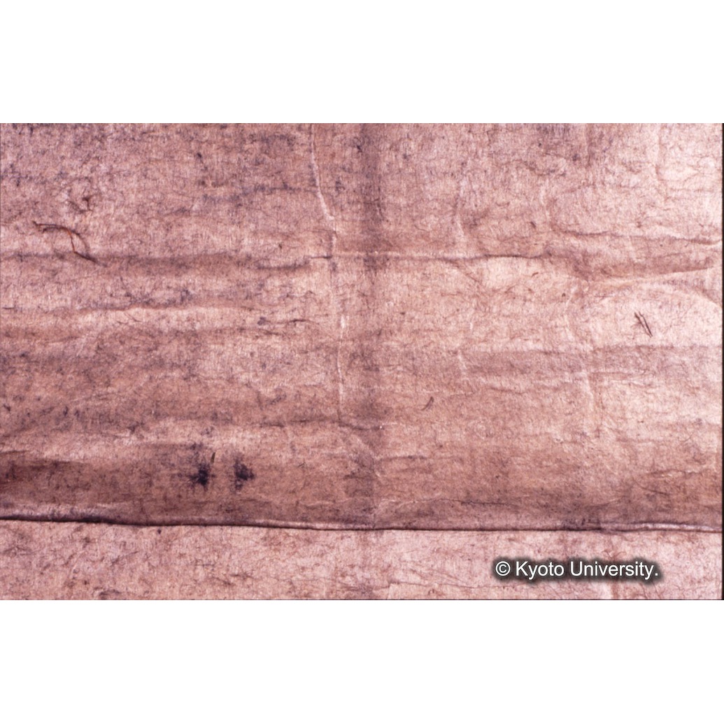 カラー写真（裏面肌裏紙） (1)