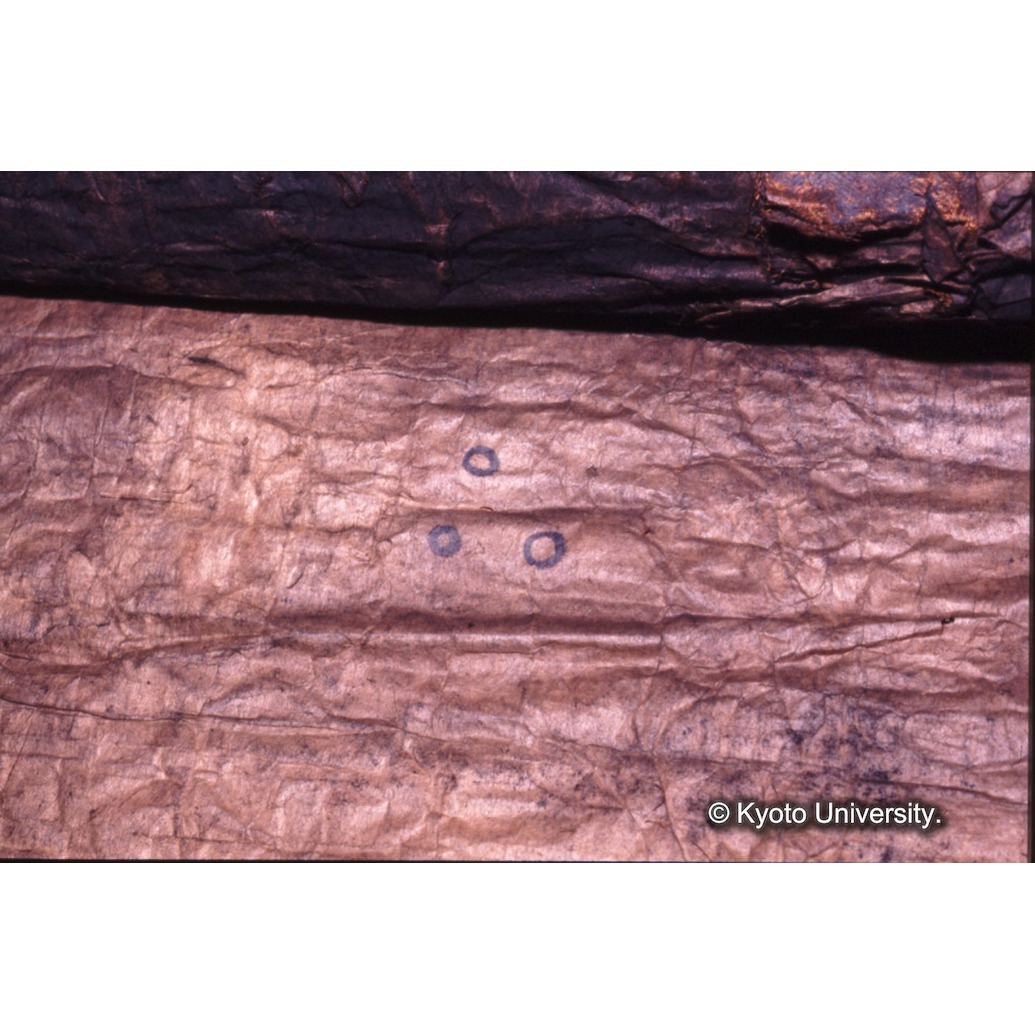 カラー写真（裏面：墨書） (1)