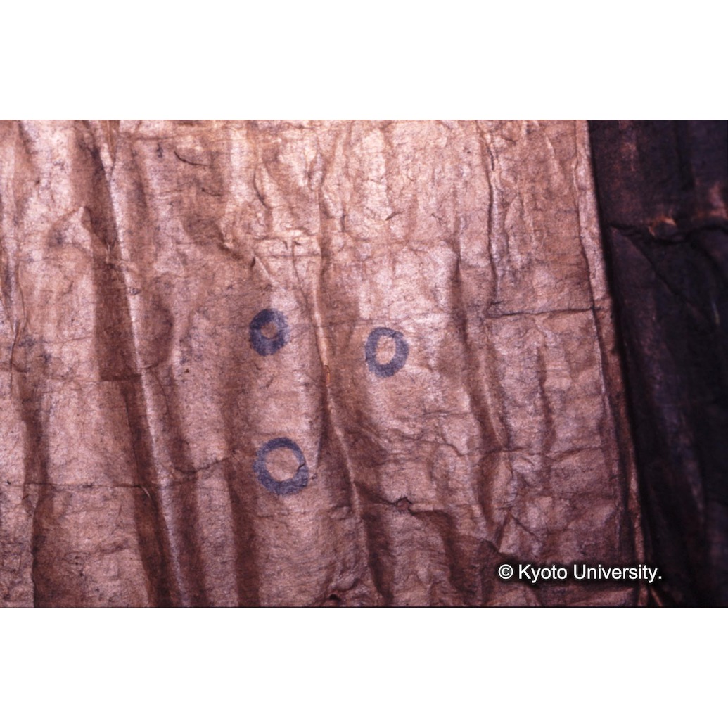 カラー写真（裏面：墨書） (1)