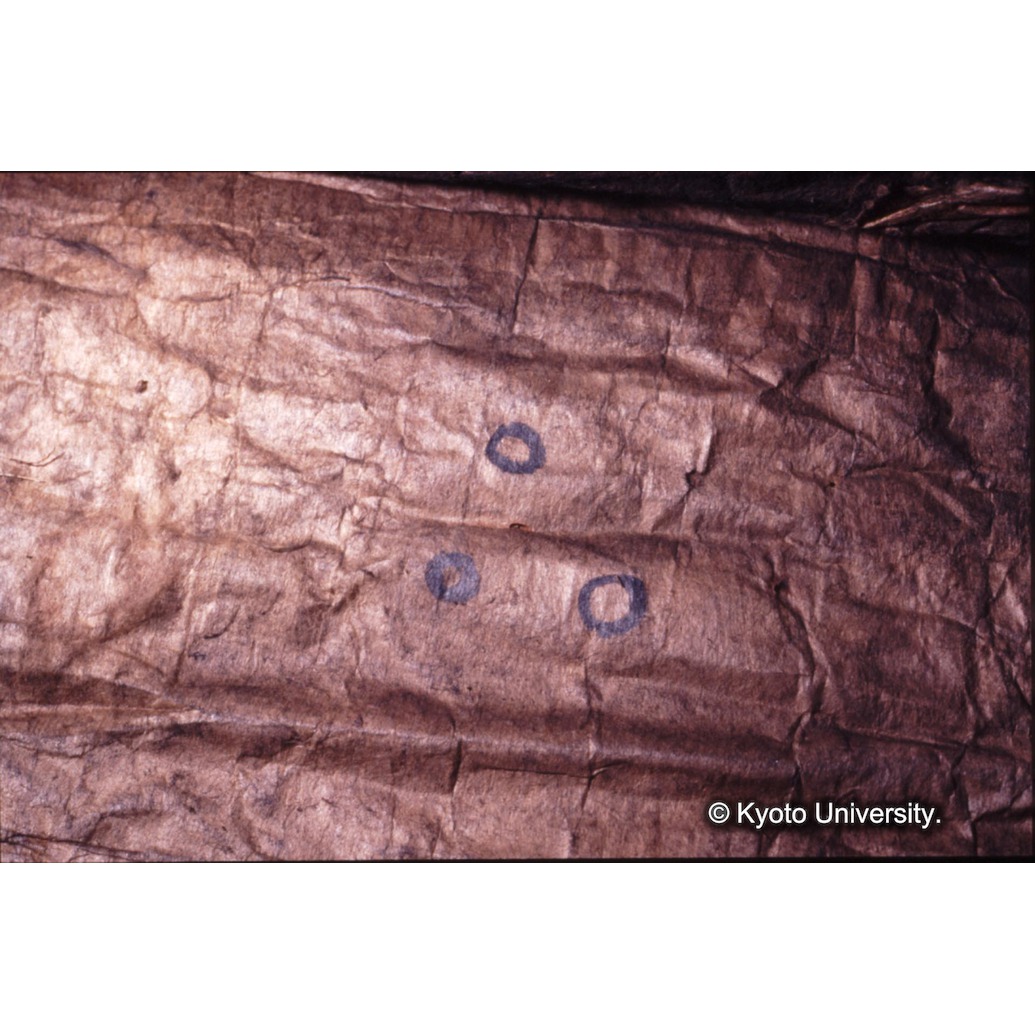 カラー写真（裏面：墨書） (1)