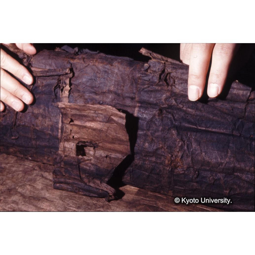 カラー写真（裏面：表具裏面） (1)