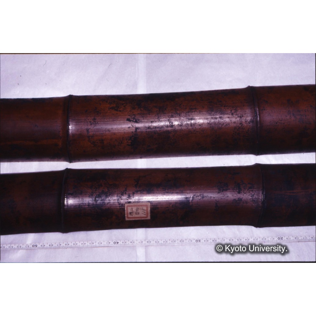 カラー写真（竹筒外側） (1)