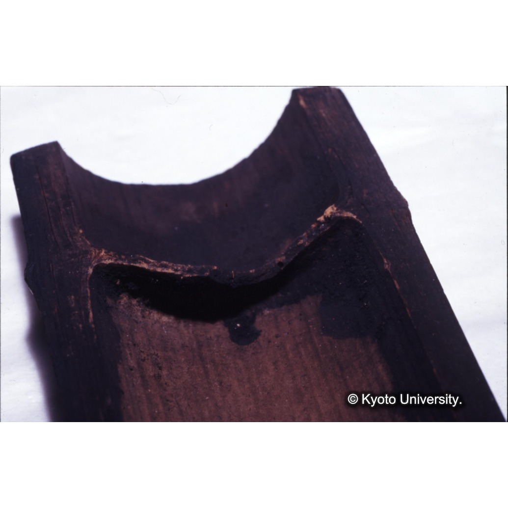 カラー写真（竹筒内側煤） (1)