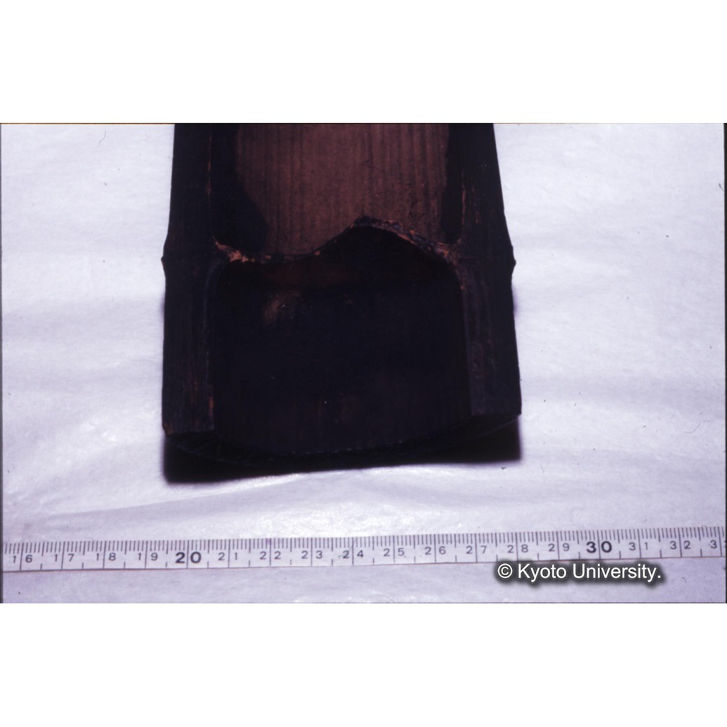 カラー写真（竹筒内側煤） (1)