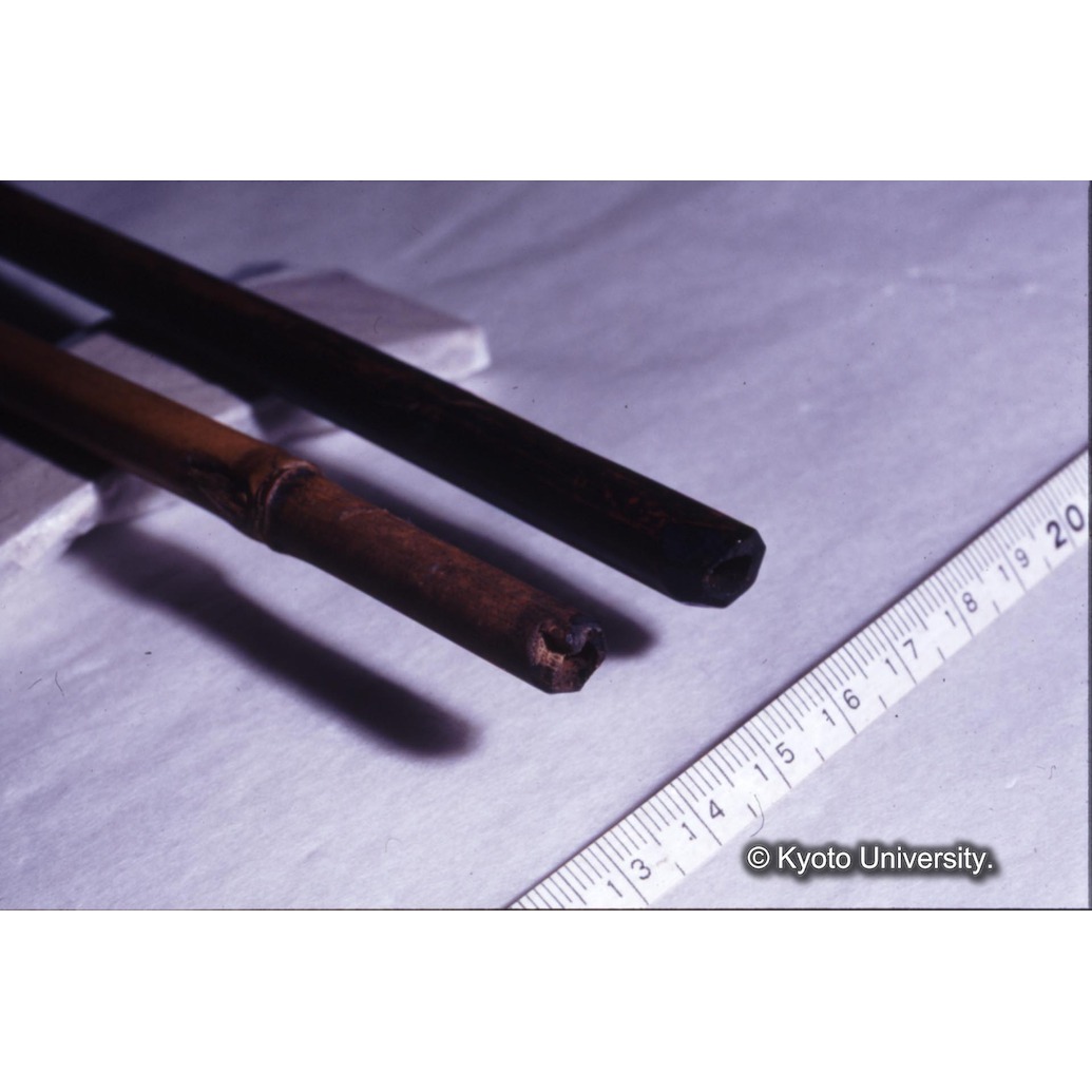 カラー写真（竹軸） (1)