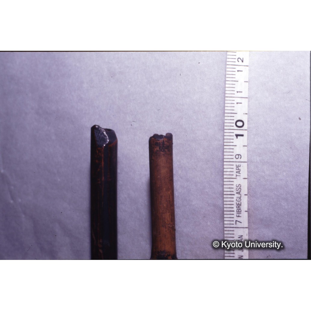 カラー写真（竹軸） (1)