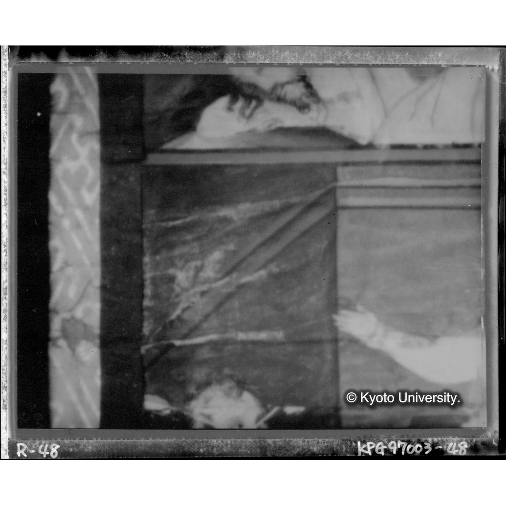 赤外線テレビ撮影画像写真（第六図・第五図境界線付近） (1)