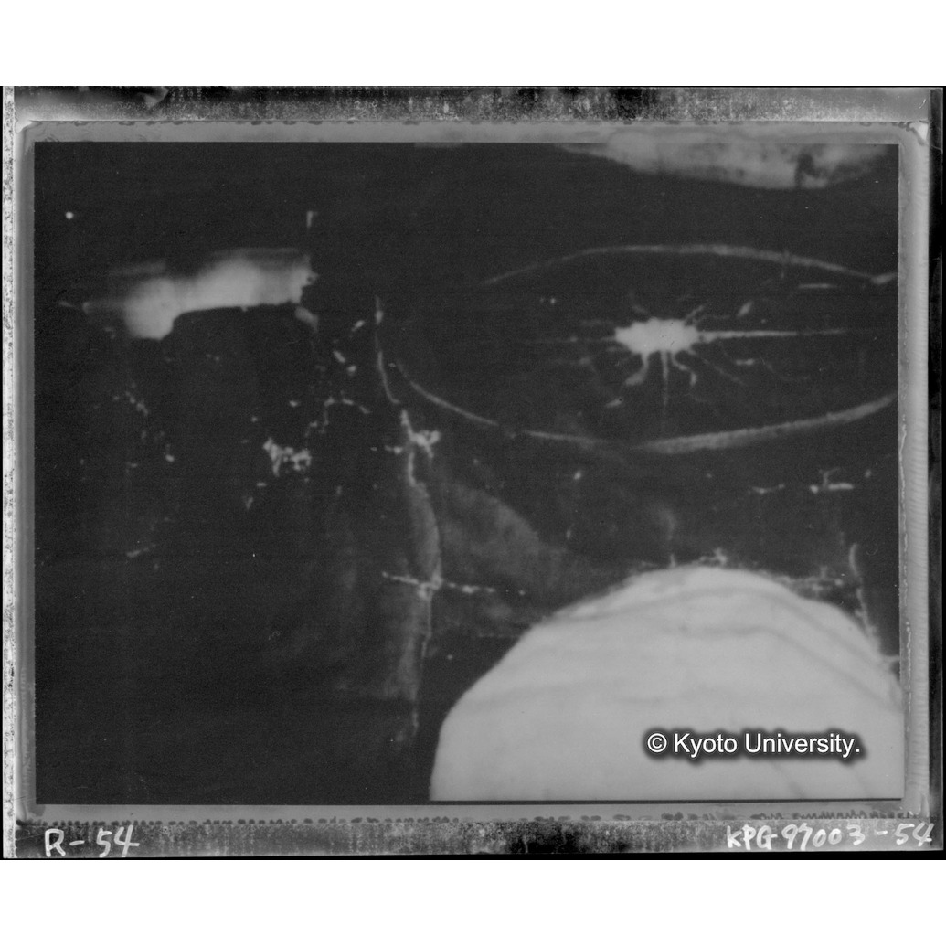 赤外線テレビ撮影画像写真（中央上段） (1)