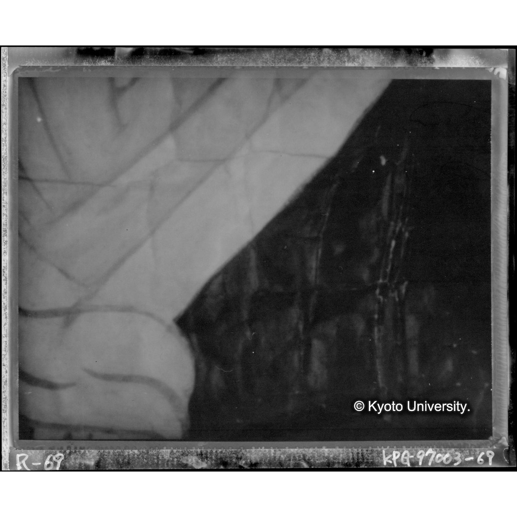 赤外線テレビ撮影画像写真（中央上段） (1)