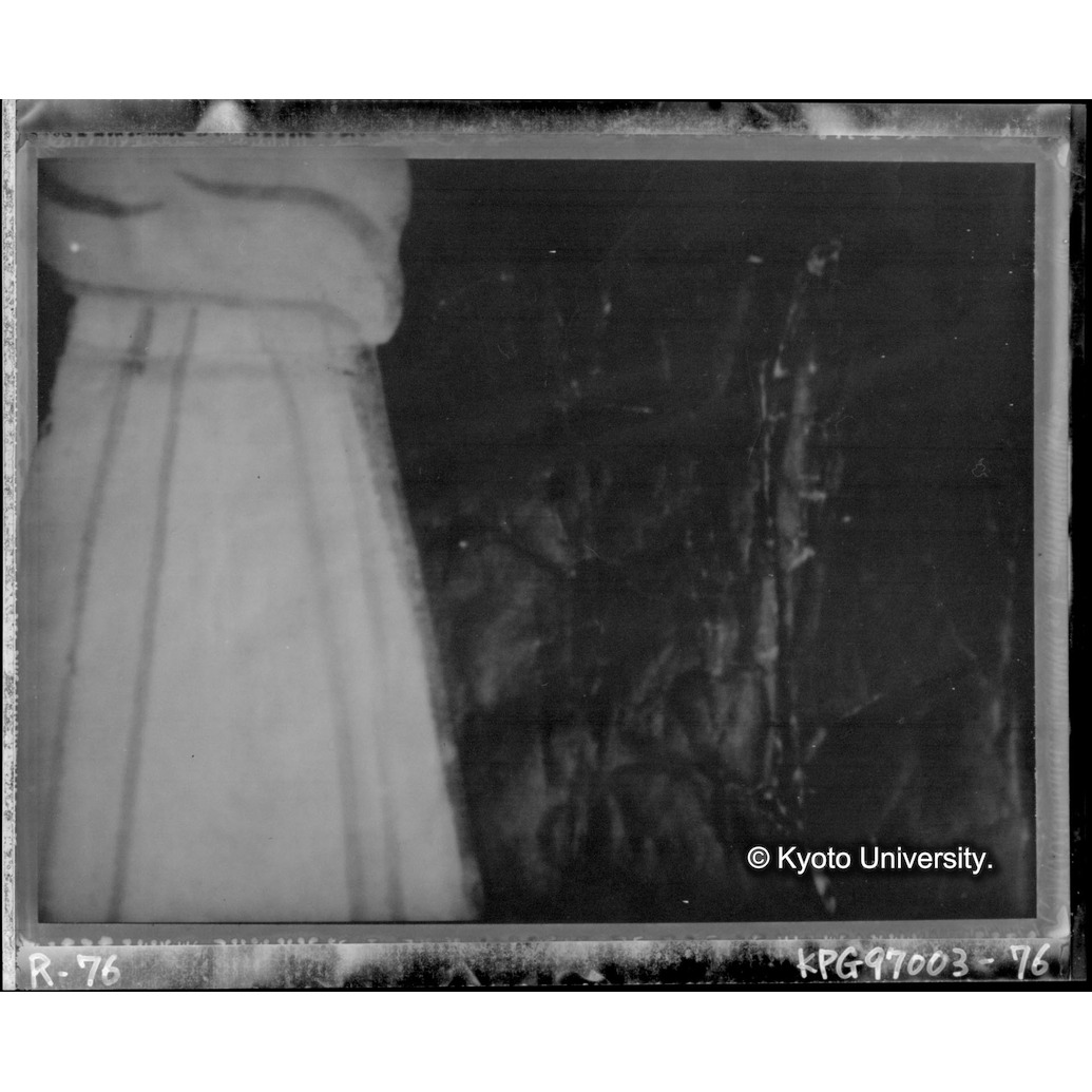 赤外線テレビ撮影画像写真（中央上段） (1)