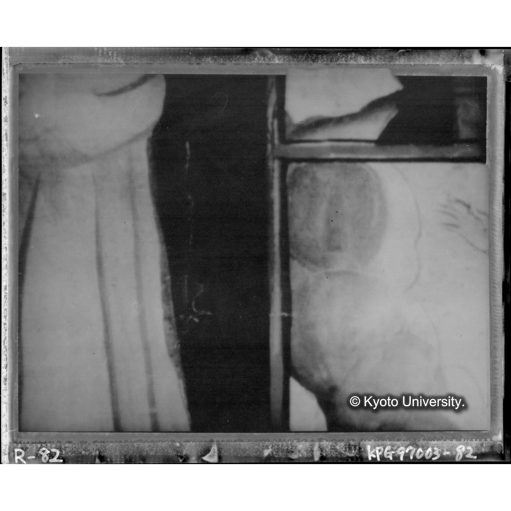 赤外線テレビ撮影画像写真（中央上段・第十二図） (1)