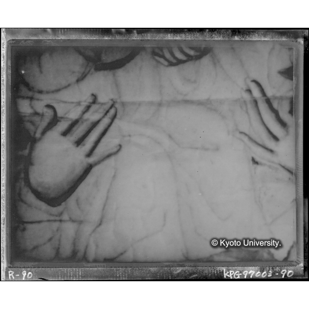 赤外線テレビ撮影画像写真（中央上段） (1)