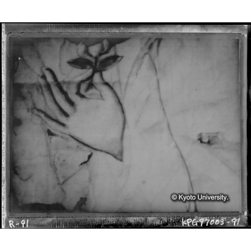 赤外線テレビ撮影画像写真（中央上段） (1)