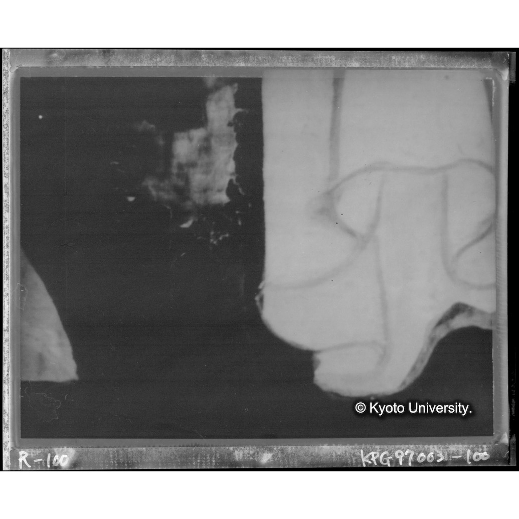 赤外線テレビ撮影画像写真（中央上段） (1)