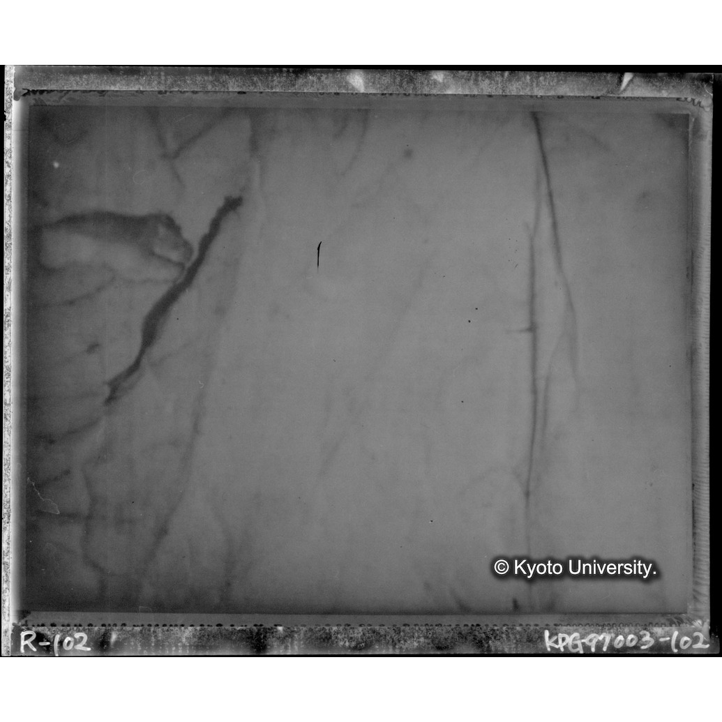 赤外線テレビ撮影画像写真（中央上段） (1)