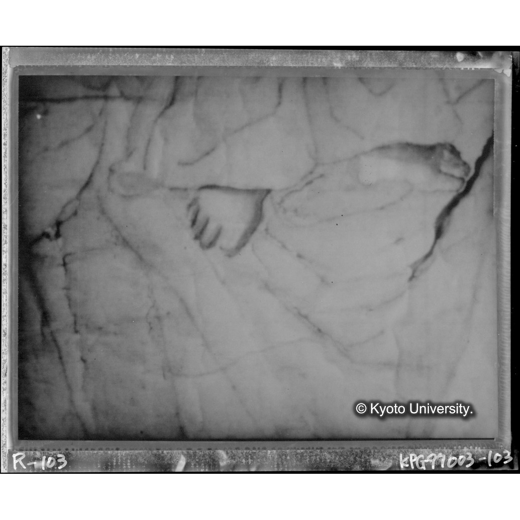 赤外線テレビ撮影画像写真（中央上段） (1)