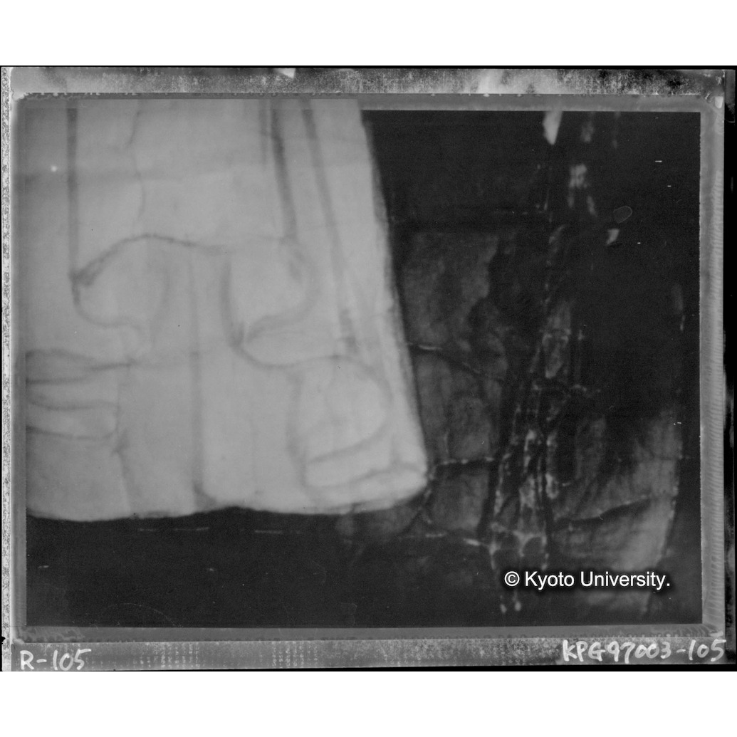 赤外線テレビ撮影画像写真（中央上段） (1)