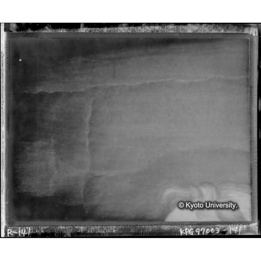 赤外線テレビ撮影画像写真（中央下段） (1)