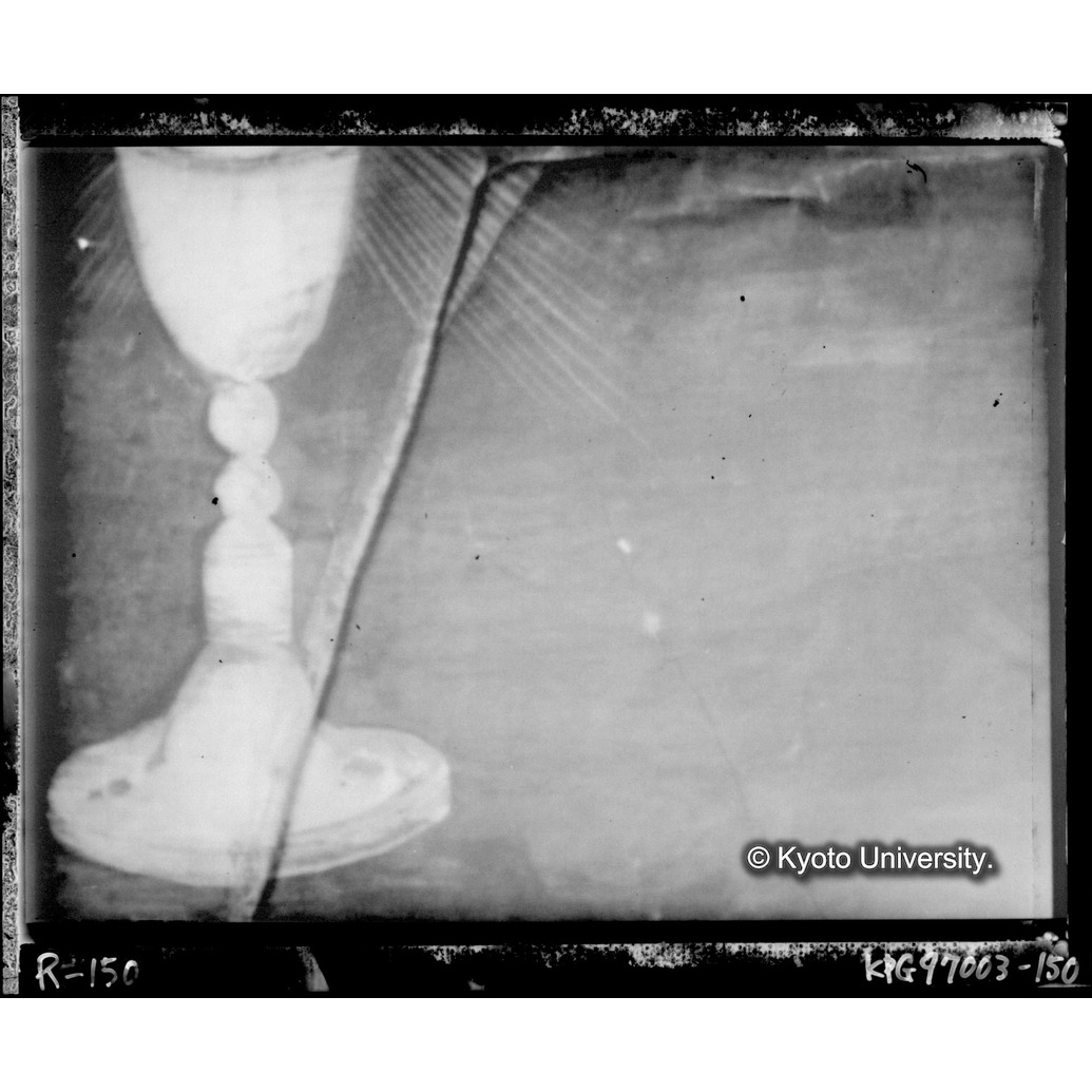 赤外線テレビ撮影画像写真（中央下段） (1)