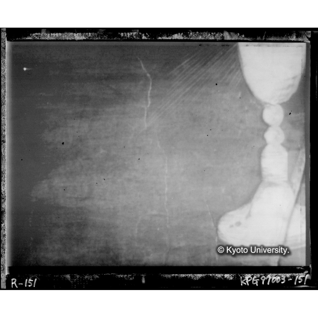 赤外線テレビ撮影画像写真（中央下段） (1)