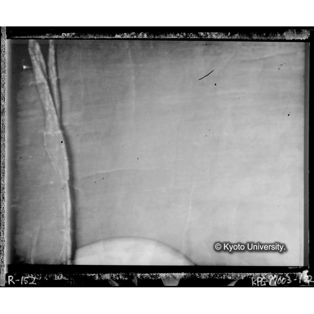 赤外線テレビ撮影画像写真（中央下段） (1)