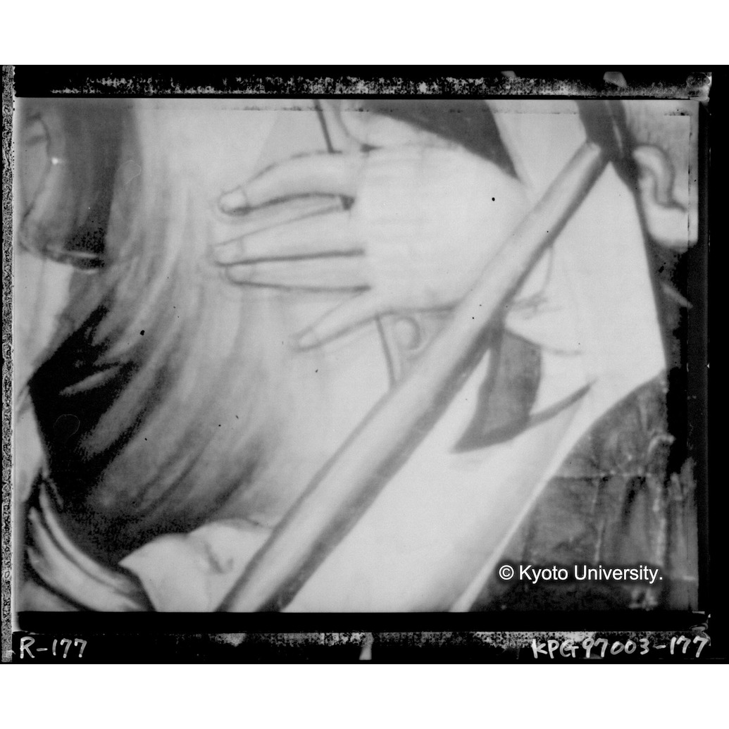 赤外線テレビ撮影画像写真（中央下段） (1)