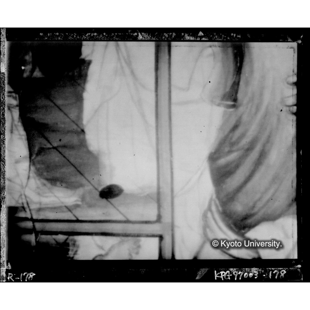 赤外線テレビ撮影画像写真（中央下段・十五玄義第二図） (1)