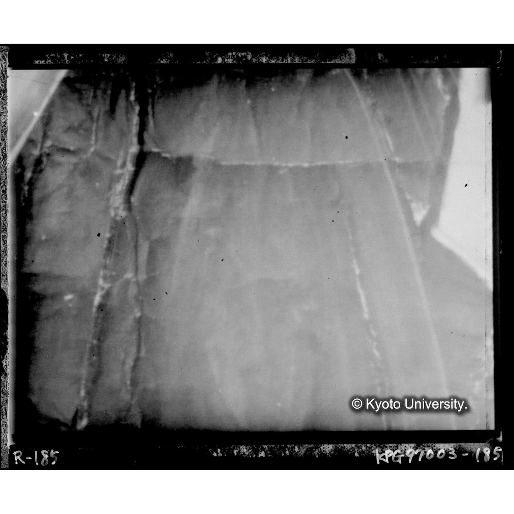 赤外線テレビ撮影画像写真（中央下段） (1)