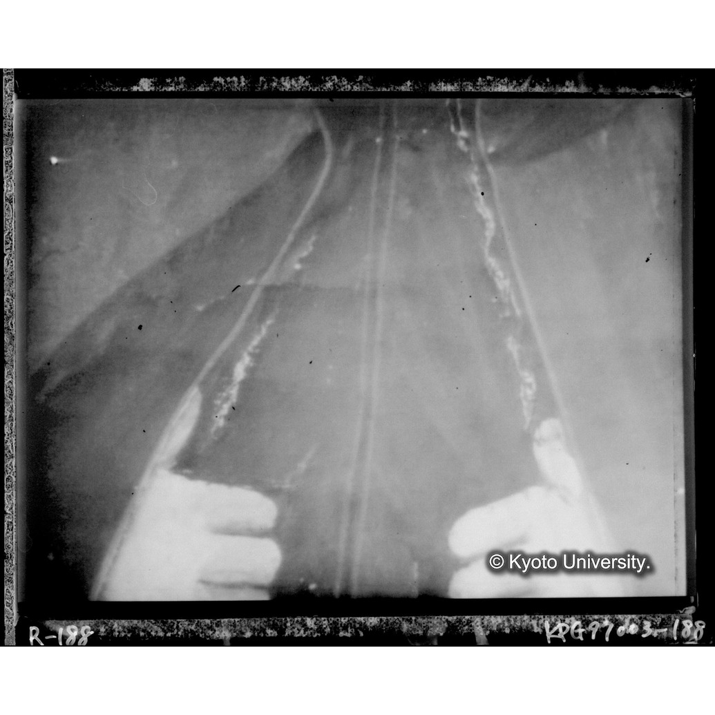 赤外線テレビ撮影画像写真（中央下段） (1)